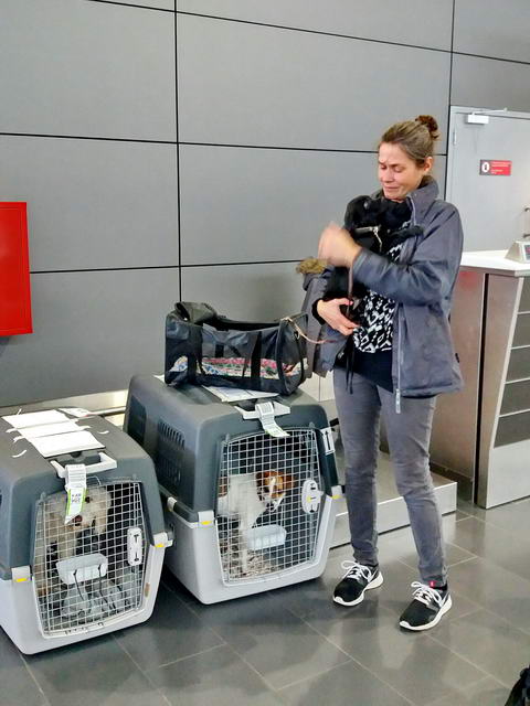 20170118 153044 resized