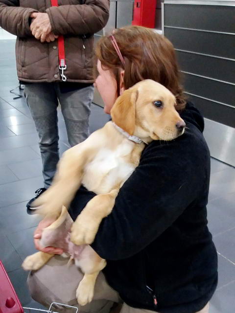 20170129 033139 resized