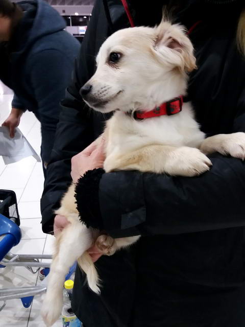 20170129 040420 resized