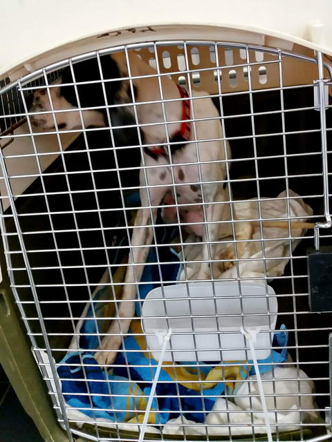 20170205 151328 resized