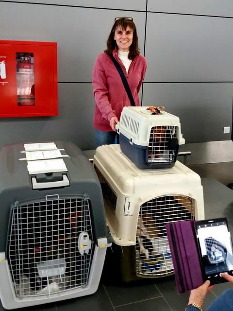 20170205 151355 resized