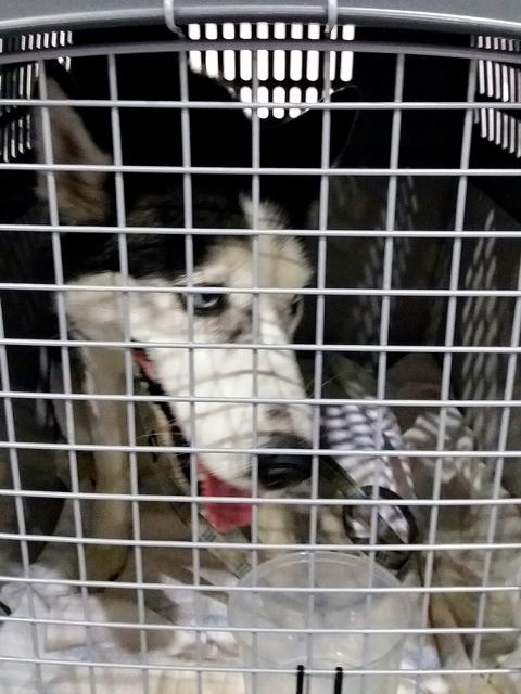 20170205 034936 resized