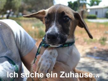 1 thumb donald 1 002