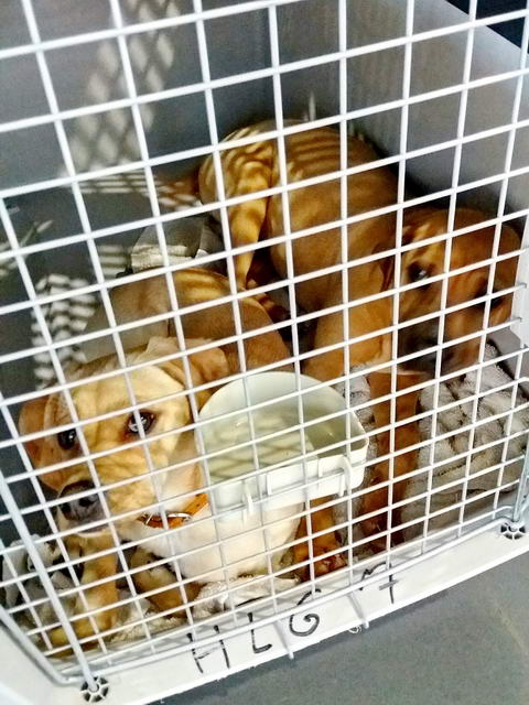 20170211 153634 resized