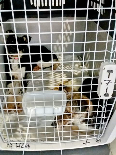 20170211 153649 resized