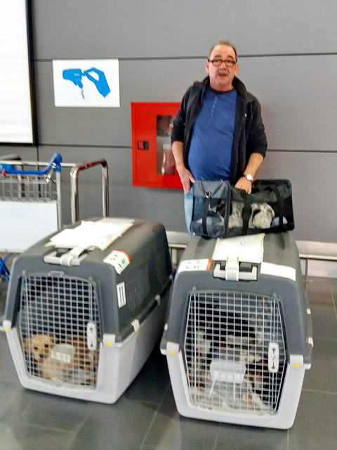 20170211 153710 resized