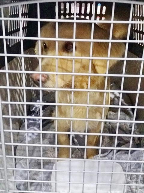 20170219 033858 resized