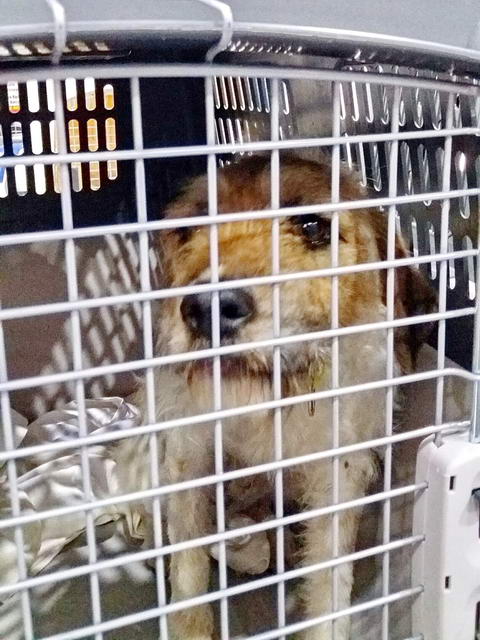 20170219 033903 resized