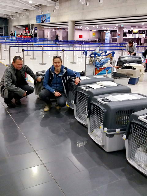 20170219 034000 resized