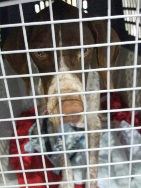 1 20170603 030940 resized