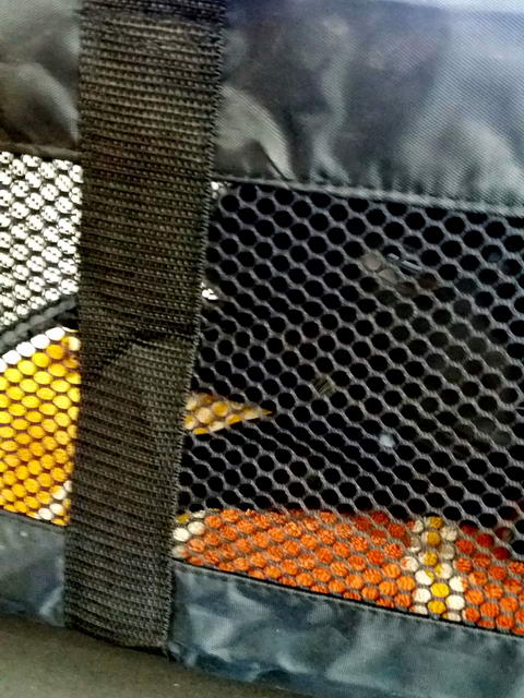 20170326 135538 resized