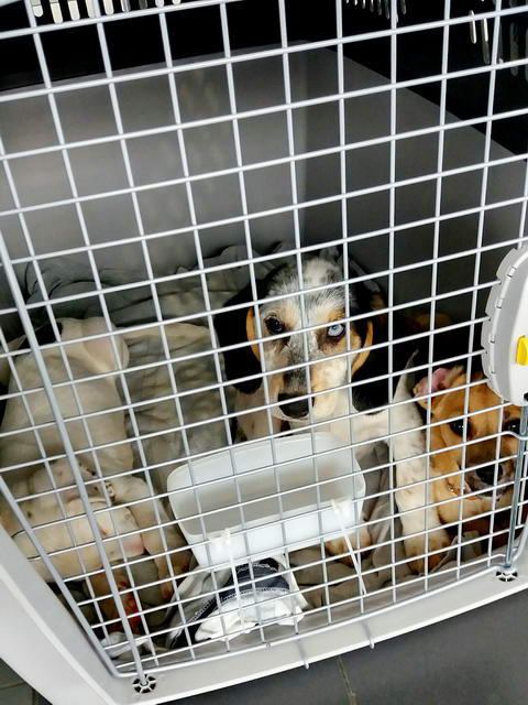 20170326 135703 resized