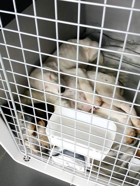 20170326 135942 resized