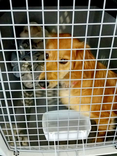 20170402 135153 resized