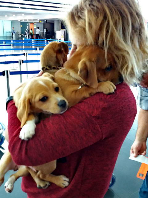 20170402 135820 resized