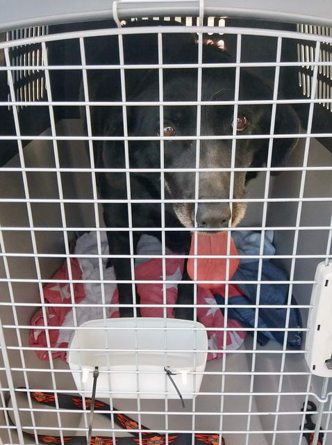 20170409 134301 resized