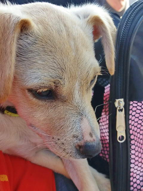 20170409 145531 resized