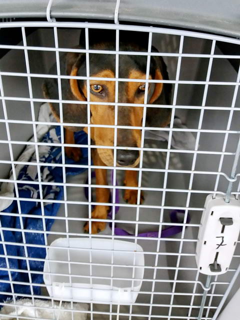 20170423 135514 resized