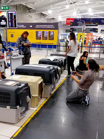 20170506 032835 resized