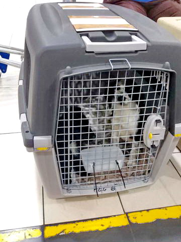 20170506 033353 resized