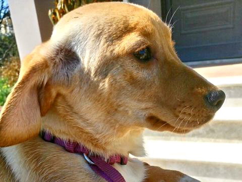 1 IMG 20170320 WA0018