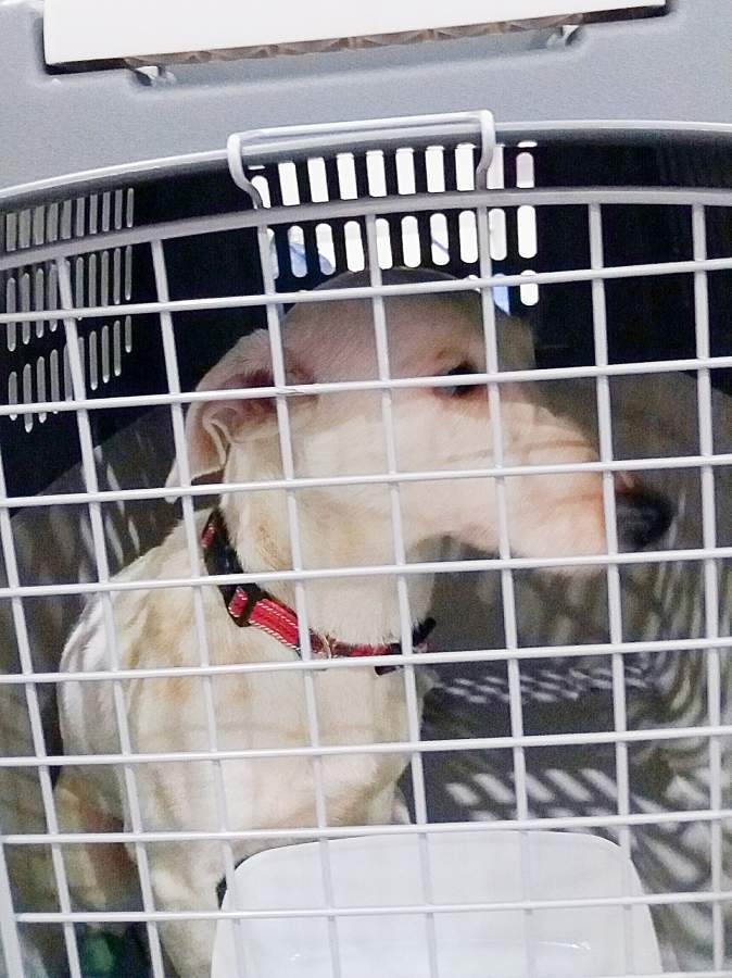 20170513 031843 resized