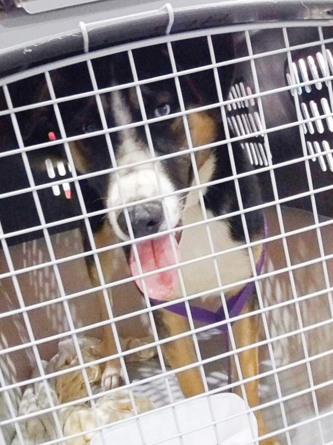 20170513 031910 resized