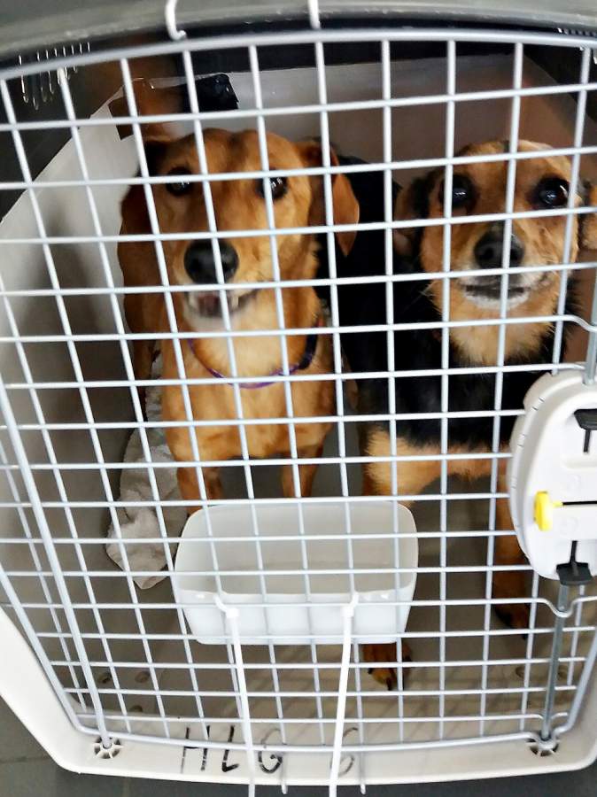 20170611 140354 resized