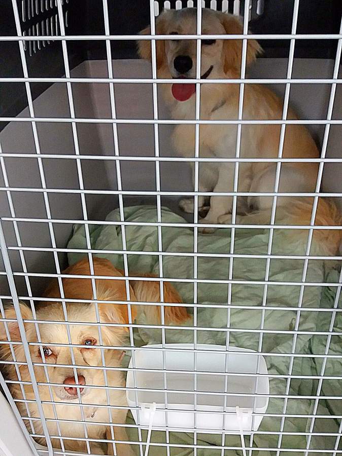 20170611 140404 resized