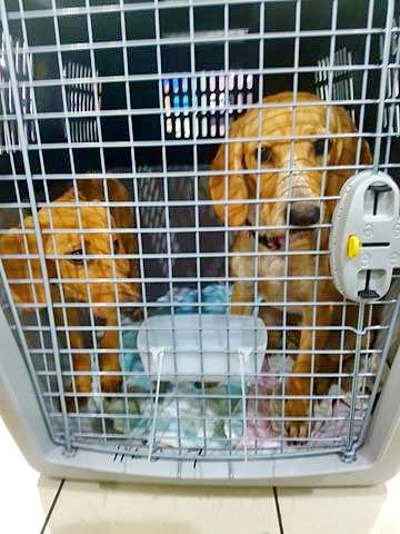 19691336 780235728804908 1424306231 n