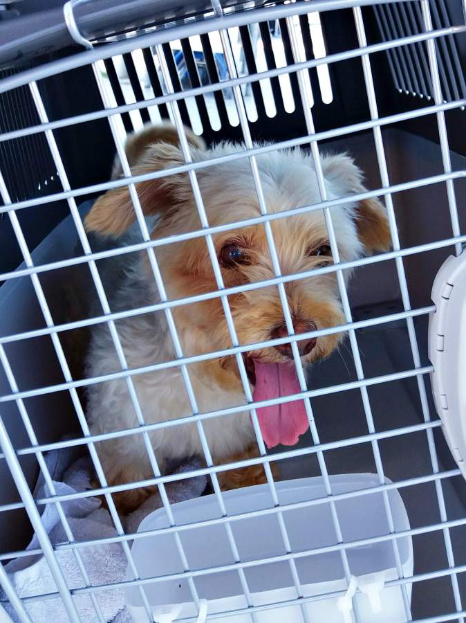 20170709 135701 resized