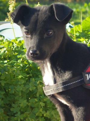 thumb Tilly41 von 1 002