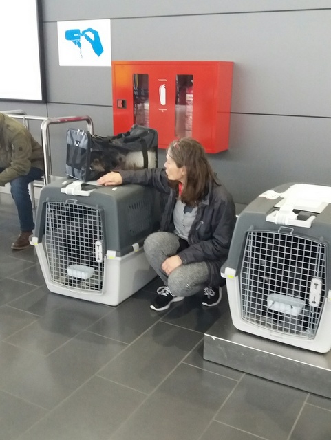 1 20170408 141329 resized