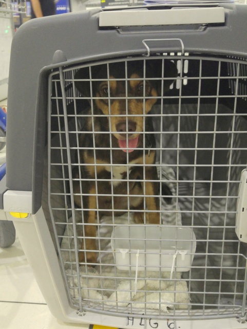 1 20171108 033836 resized