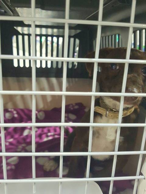 1 23364967 842971435864670 71593388 n