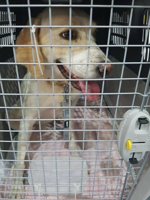 1 23439364 842971445864669 1493582694 n