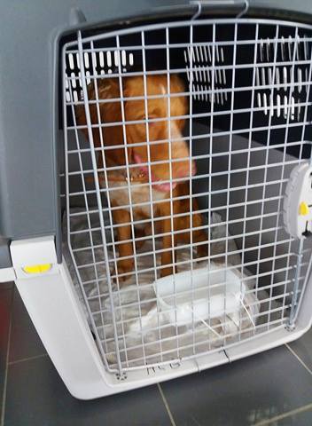 20814073 10207657896204899 1992660323 n