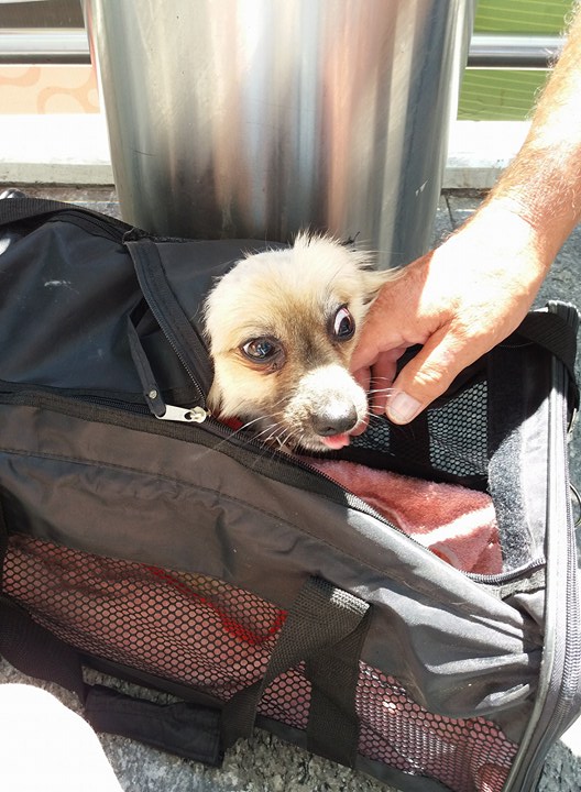 20839572 10207657881764538 1118073312 n