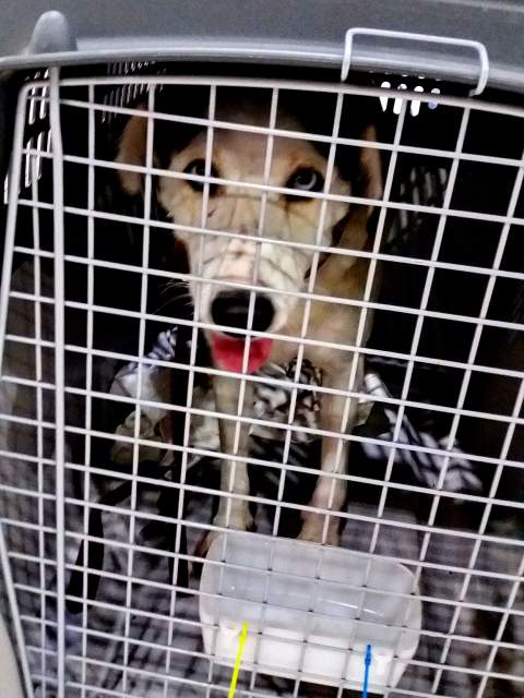 20170819 031848 resized