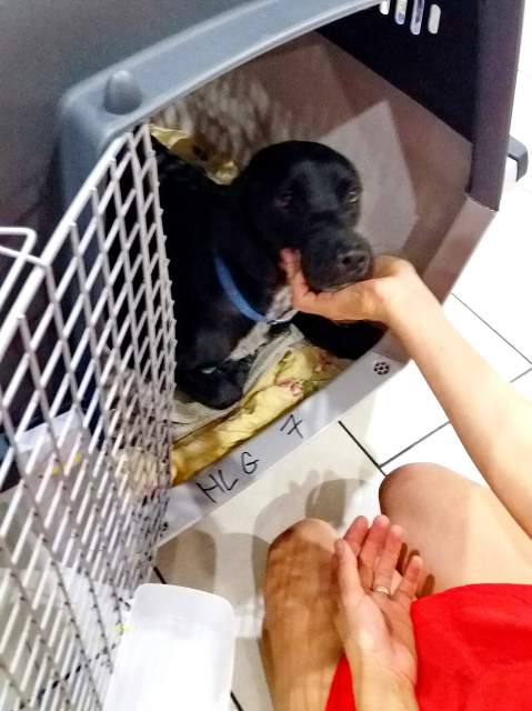 20170819 031937 resized