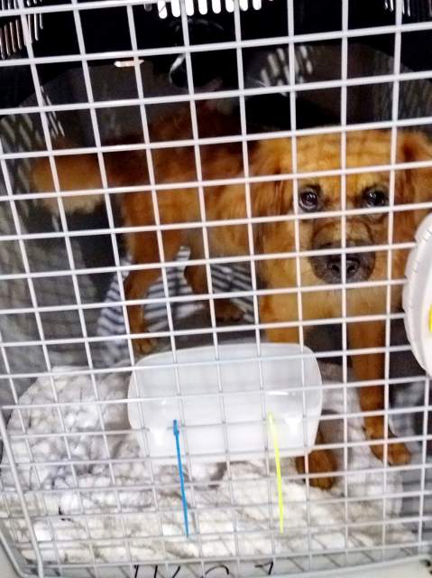 20170819 032153 resized