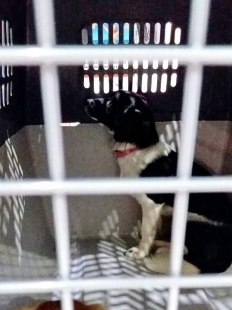 20170819 032204 resized