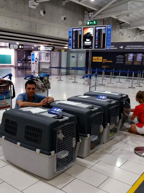 20170819 032306 resized