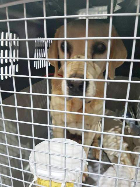 21552539 815242108637603 901117539 n