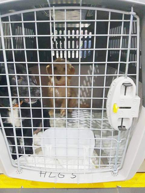 21913012 821434324685048 900627962 n