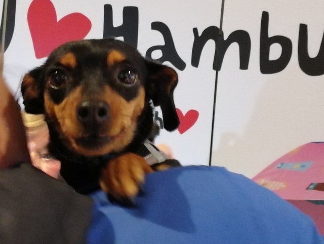 1 IMG 20171210 113335