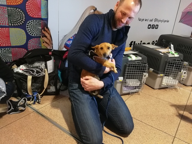 1 IMG 20171210 113833