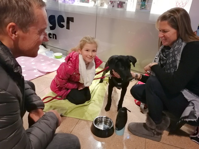 1 IMG 20171210 113840