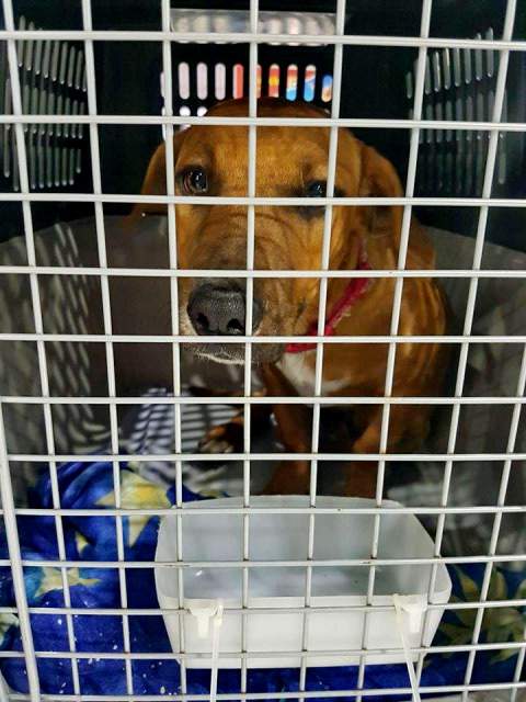 22551469 832013130293834 1400330723 n