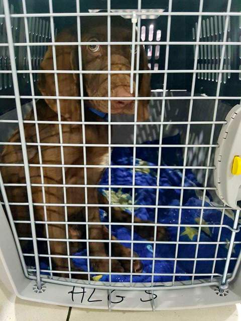 22554392 832013173627163 1553714383 n